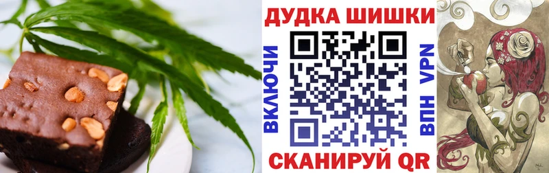 МЕГА сайт  цены наркотик  Шагонар  Canna-Cookies марихуана 