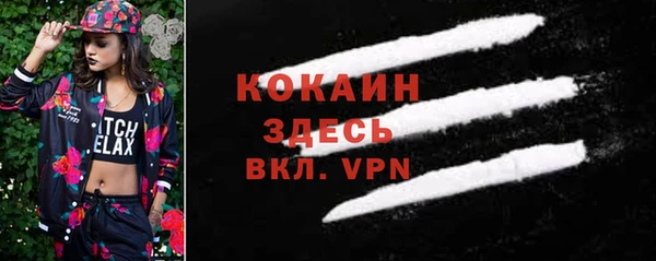 индика Арсеньев