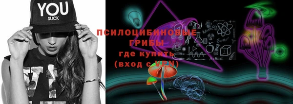 хмурый Армянск