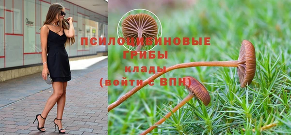 индика Арсеньев