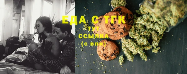 индика Арсеньев
