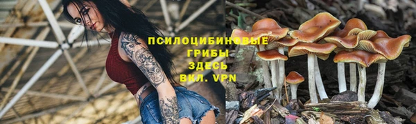 индика Арсеньев